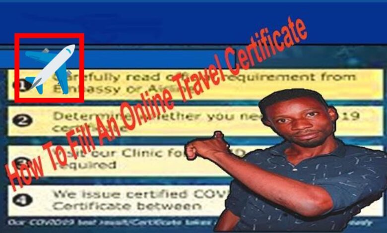How To Fill An Online Travel Certificate for Ghanaians Abroad