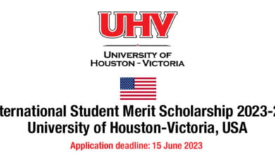 International Student Merit Scholarship